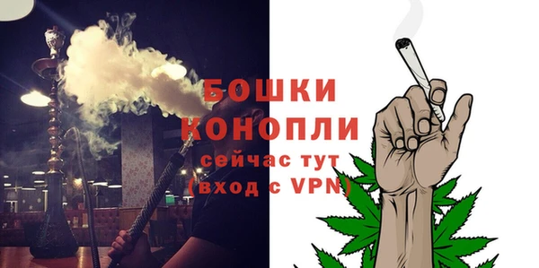 СК Зерноград