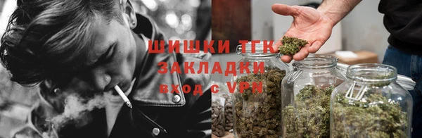 СК Зерноград