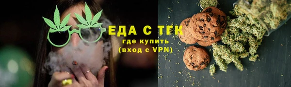 СК Зерноград
