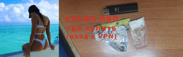 СК Зерноград