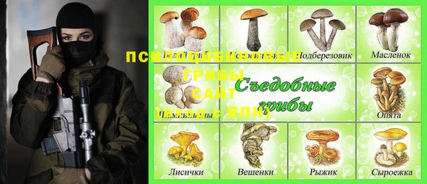 СК Зерноград