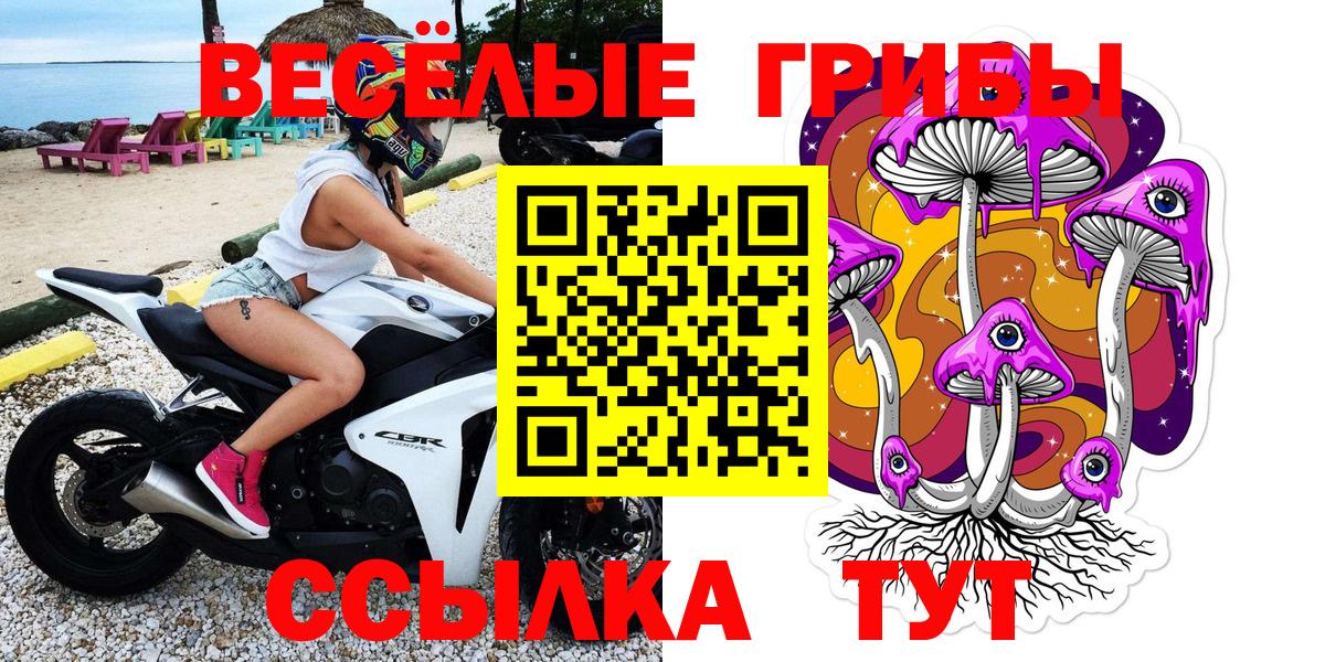 Псилоцибиновые грибы Psilocybe  Вход с VPN  Серпухов 