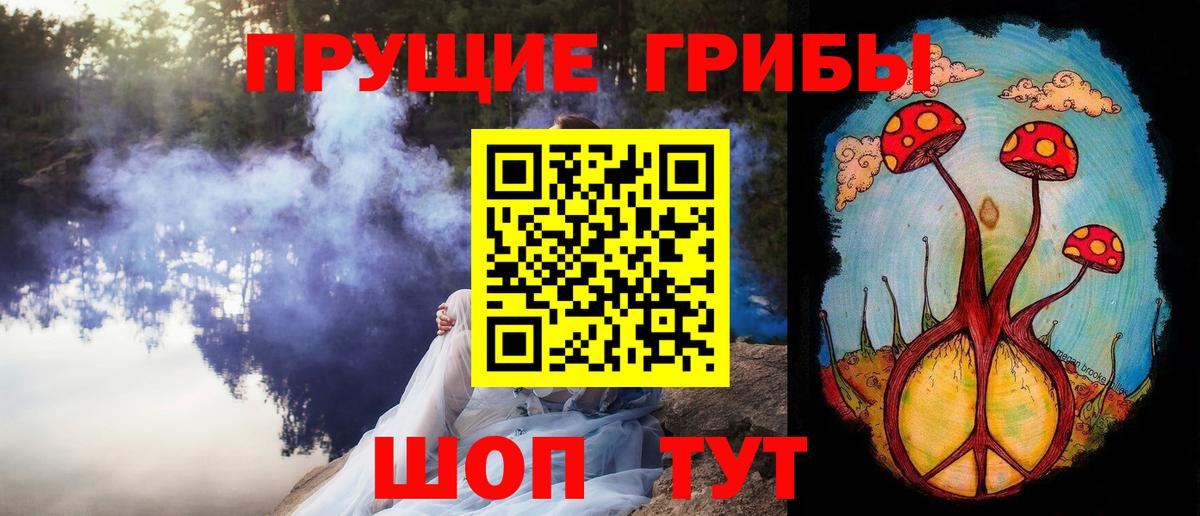 Галлюциногенные грибы Psilocybe Серпухов