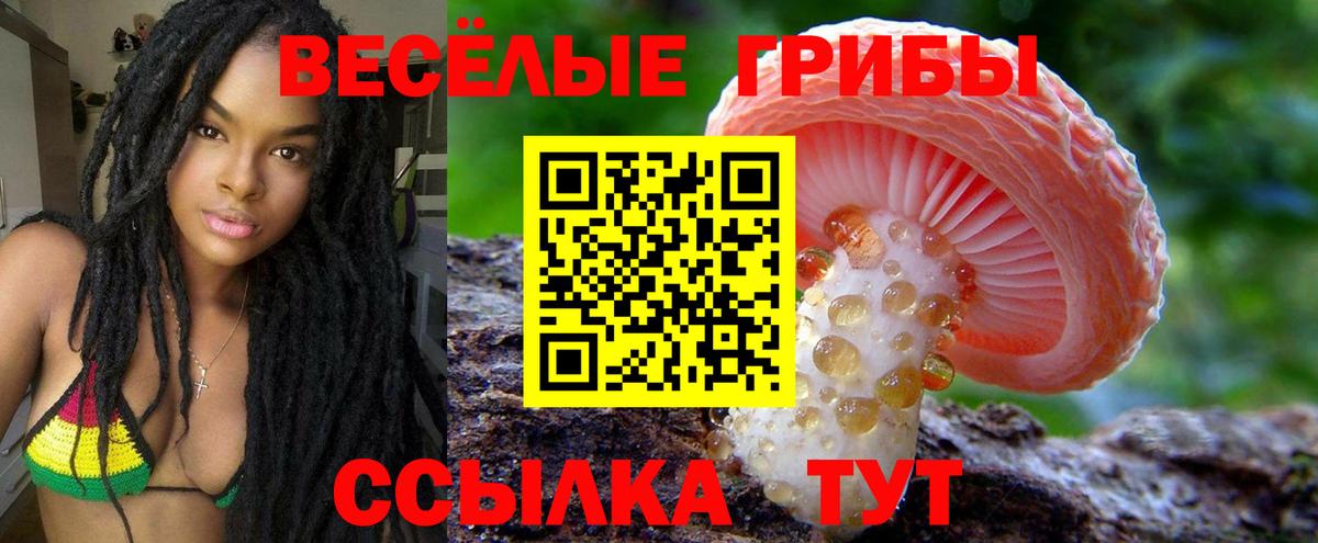 Галлюциногенные грибы Magic Shrooms Серпухов