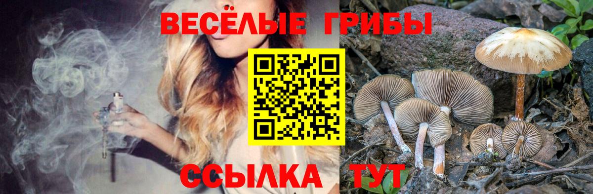 Серпухов  Псилоцибиновые грибы мухоморы  Вход с VPN  Псилоцибиновые грибы Cubensis 